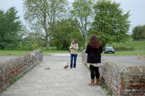 DSC_0118.YdjYJrPUr1Ec.jpg