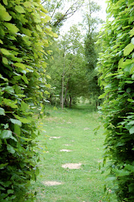 DSC_0195.v7sj0Huj2b3T.jpg