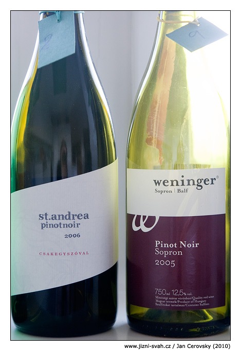 [madarsko_pinot_noir[5].jpg]