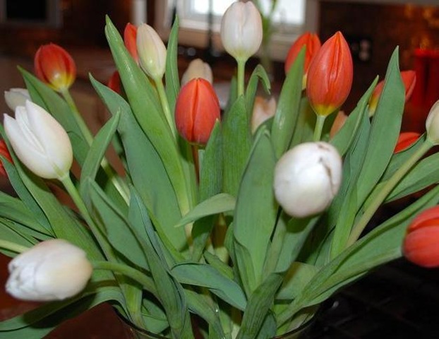 [tulips RS2[2].jpg]