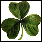 Irish_clover