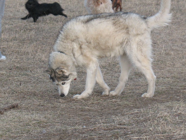 [IMG_0459[5].jpg]