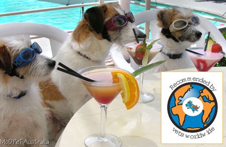 [martini dogs[4].jpg]