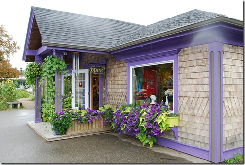 shop purple trim mahone bay