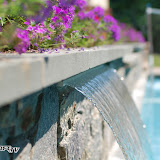 200606 landandwater-10.jpg