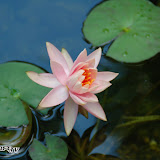 200606 landandwater-22.jpg