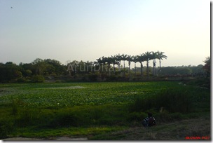 Spread of Green
