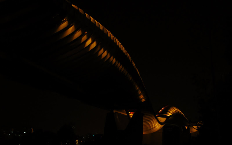 Henderson waves singapore night view