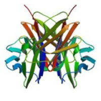 positivoPT_logo.jpg