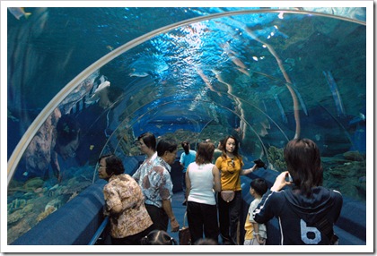 aquarium5xm3 aquarium5xm3