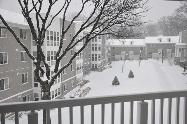 [01 30 10_1571[5].jpg]