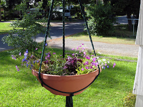 Hanging basket