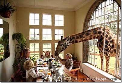 um zoologico diferente 2