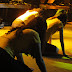 DSC03872.JPG