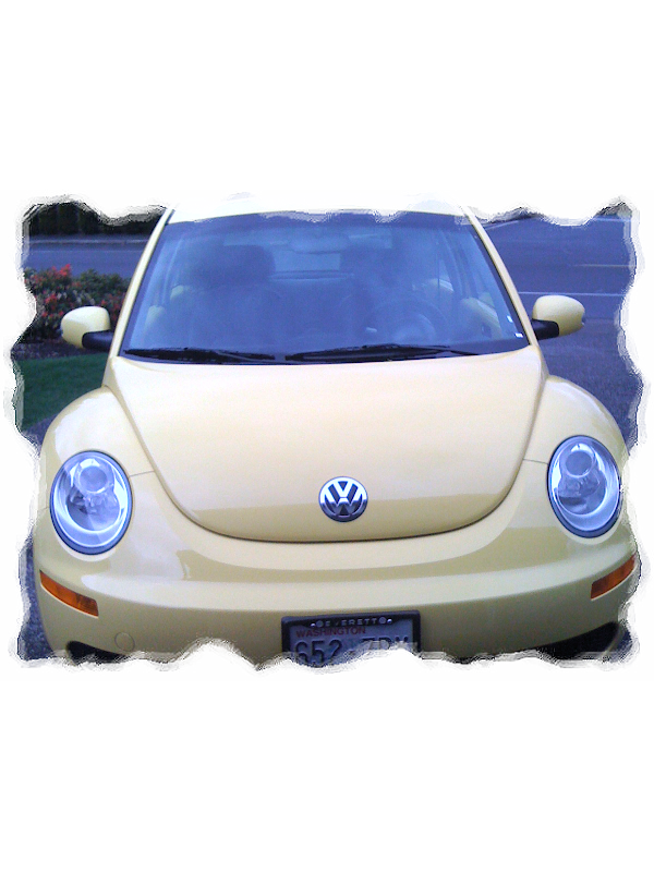 VW Bug.png