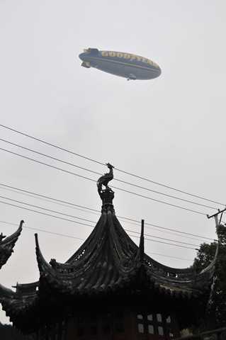 [DSC_17334.jpg]