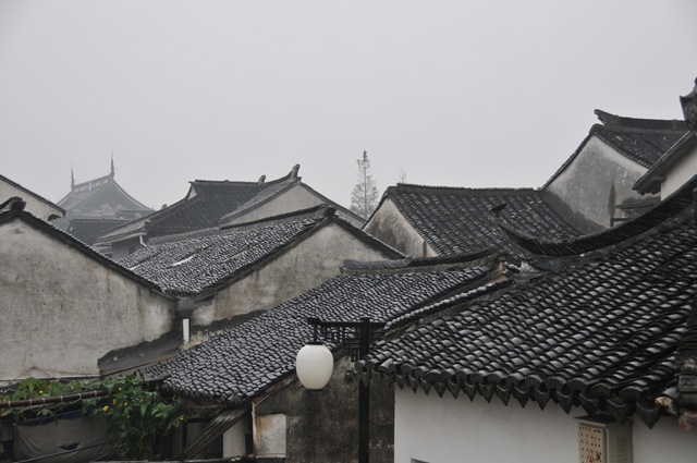 [DSC_22044.jpg]