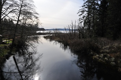 Lake Ozette in the distance
