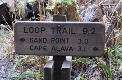 We took Sand Point trail first as most people recommend hiking the beach from south to north