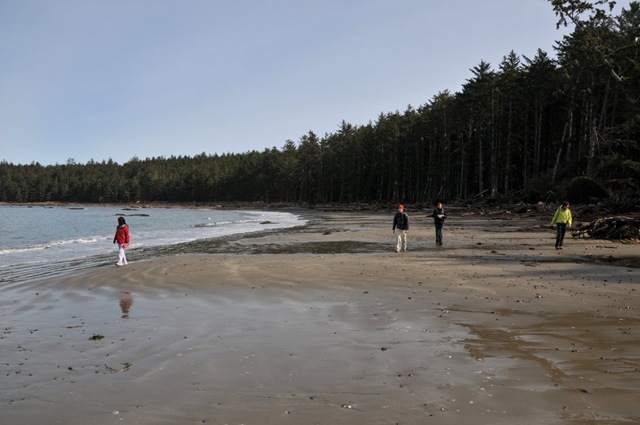 [DSC_43381.jpg]