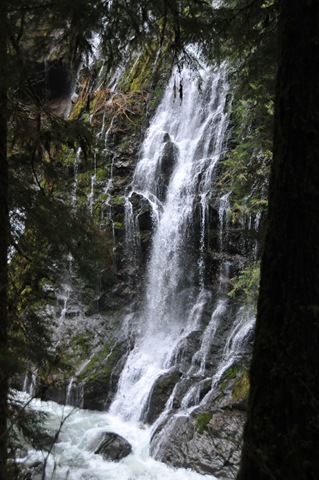 [DSC_4865[2].jpg]