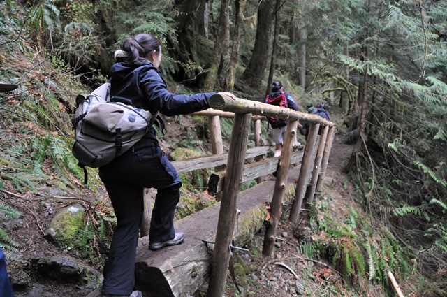 [DSC_4883[2].jpg]