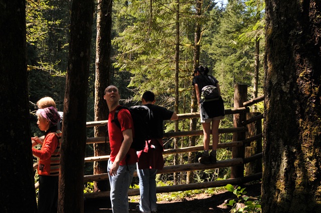 [DSC_50774.jpg]