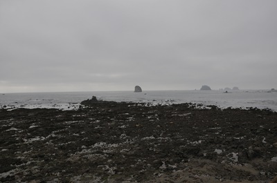 DSC_8056