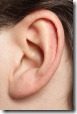 ear[1]