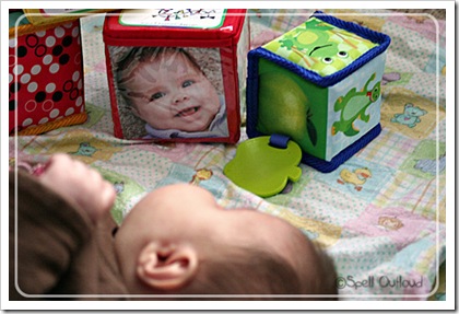 photoblocks5 photoblocks5