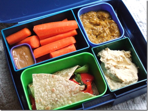 blog lunchbox for iris
