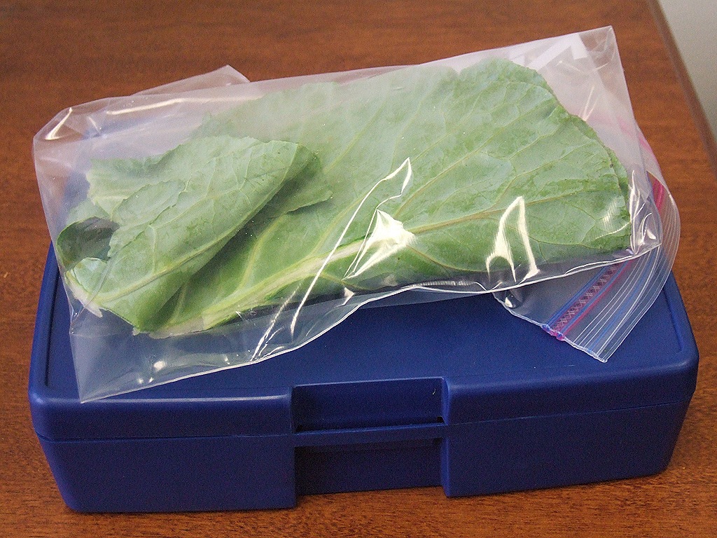 [3 lunchboxes 021[5].jpg]