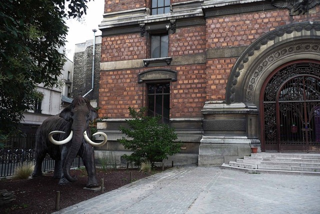 [L'entrée bien gardée du Musée d'Histoire naturelle[2].jpg]