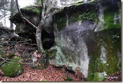 Cuvier-Chatillon Reconnaissance Colinet