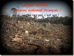 Fourceau février 2011picnik Fourceau février 2011picnik