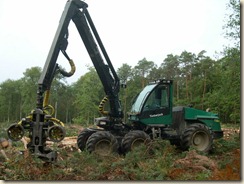 Timberjack (2) Timberjack (2)