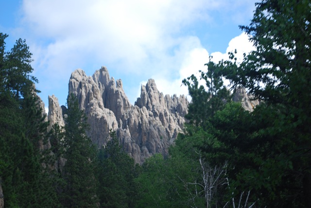 [DSC_1715[2].jpg]