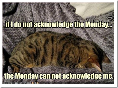 funny-pictures-cat-does-not-acknowledge-monday