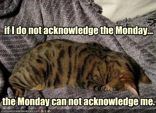 [funny-pictures-cat-does-not-acknowledge-monday[4].jpg]