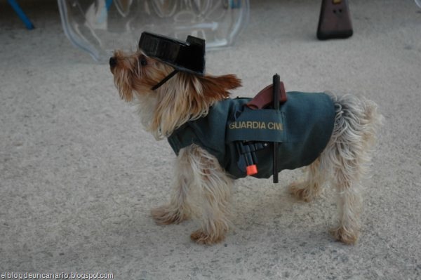 [DSC_0009[3].jpg]