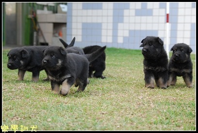 DSC_0055BLOG