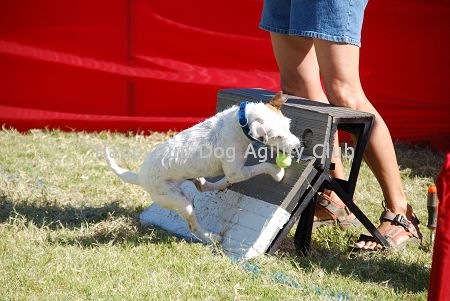 [DSC_0241[4].jpg]