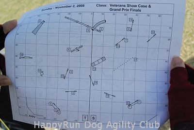 [2008usdaa-finals[3].jpg]