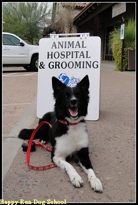[DSC00532[4].jpg]