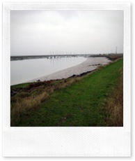 the start of the LONG seawall run. And the last photo!