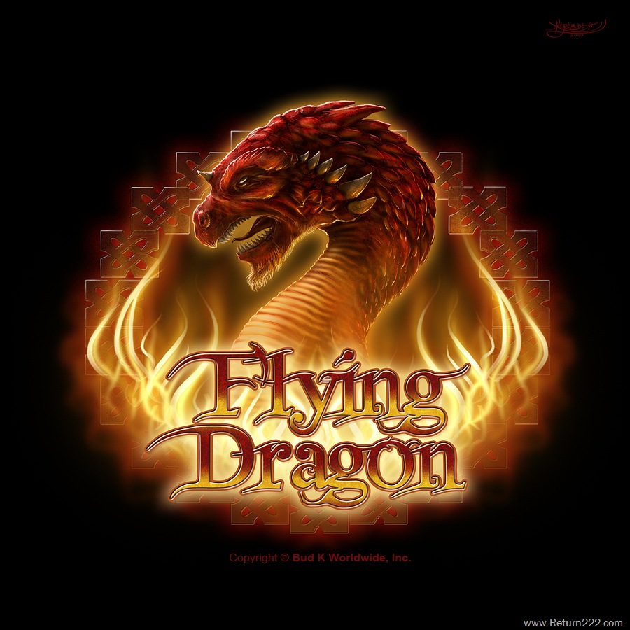 [Flying_Dragon_Logo_by_kerembeyit[2].jpg]