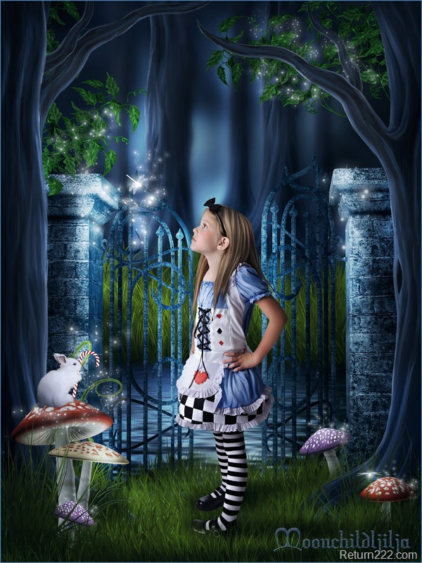 [Alice_In_Wonderland_by_moonchild_ljilja[2].jpg]