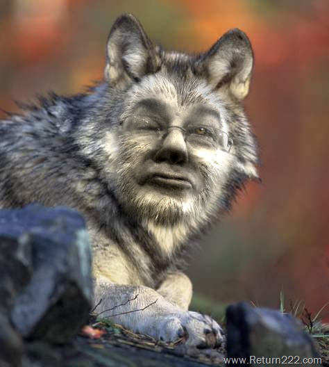 [image185.png]