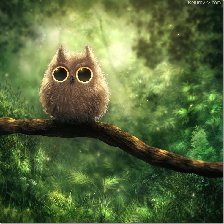 owl_by_kikariz-d2zosgx owl_by_kikariz-d2zosgx
