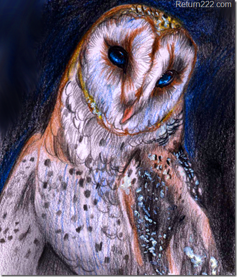 magic_owl_by_themysticwolf-d3aa6e7 magic_owl_by_themysticwolf-d3aa6e7